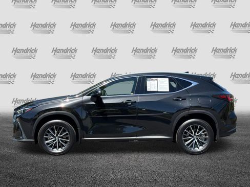 Used 2024 Lexus NX 350h AWD w/ Cold Area Package image 8