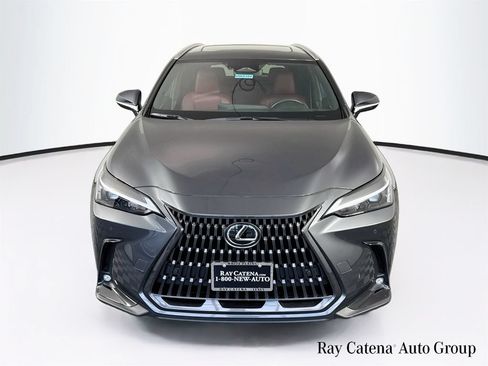 Certified 2025 Lexus NX 350h AWD w/ Accessory Package (2T) image 2