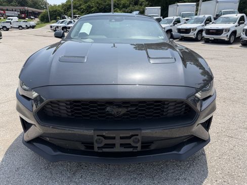 Used 2023 Ford Mustang Coupe w/ Equipment Group 101A RWD image 2