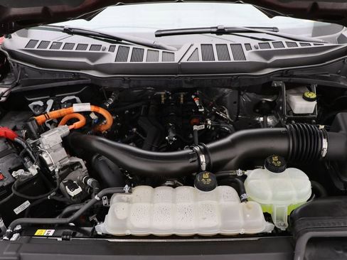 Used 2024 Ford F150 XLT w/ Equipment Group 302A MID image 33