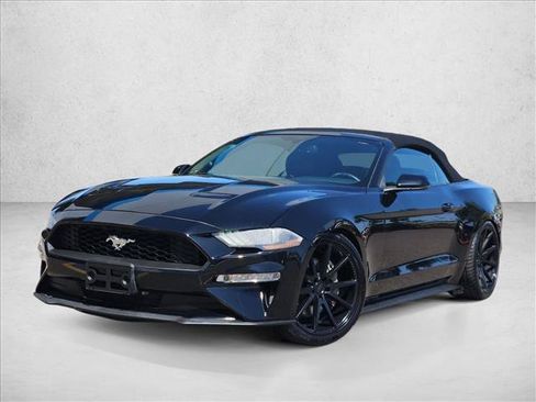 Used 2019 Ford Mustang Premium w/ Ecoboost Performance Package RWD image 4
