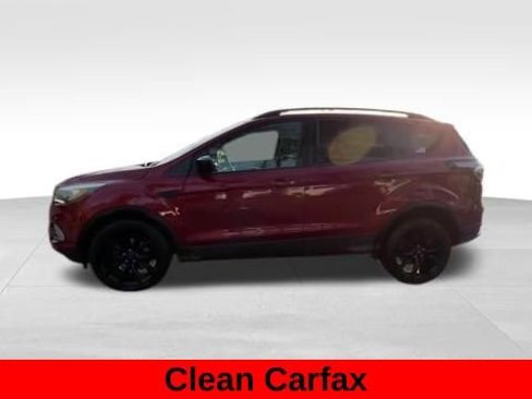 Used 2017 Ford Escape SE w/ Equipment Group 201A image 3