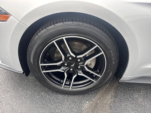 Used 2019 Ford Mustang Premium w/ Equipment Group 201A RWD image 13
