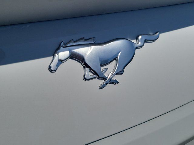 New 2026 Ford Mustang Premium RWD image 8