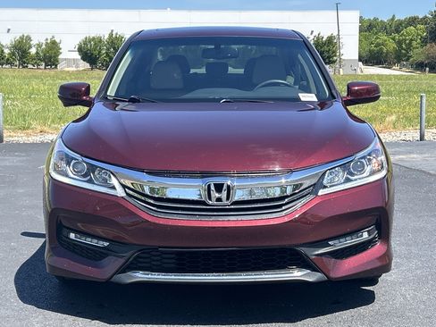 Used 2017 Honda Accord EX-L image 3