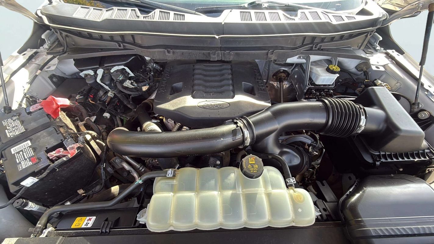 Used 2023 Ford F150 Tremor w/ Equipment Group 402A High AWD/4WD image 23