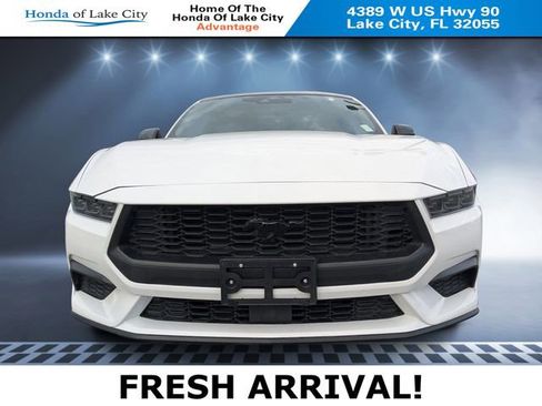 Used 2024 Ford Mustang EcoBoost w/ Mustang Nite Pony Package image 8