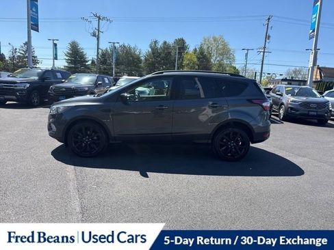 Used 2017 Ford Escape SE w/ Equipment Group 201A AWD/4WD image 4