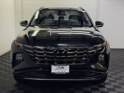 Used 2023 Hyundai Tucson Limited AWD/4WD image 5
