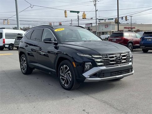 Certified 2025 Hyundai Tucson Limited image 3