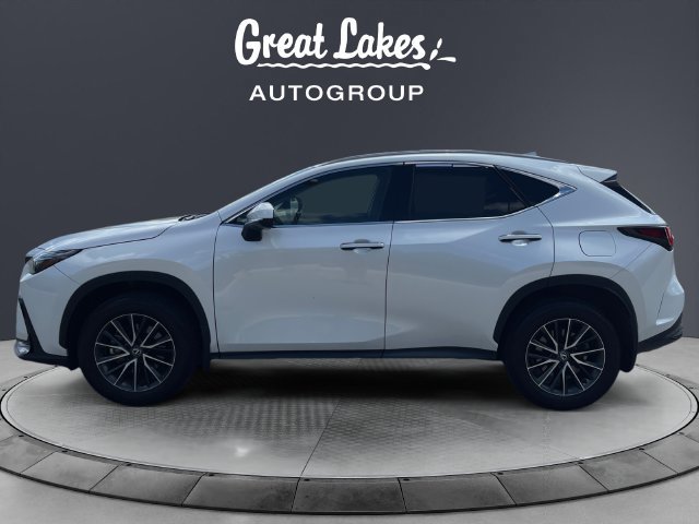 Used 2024 Lexus NX 350h AWD image 2