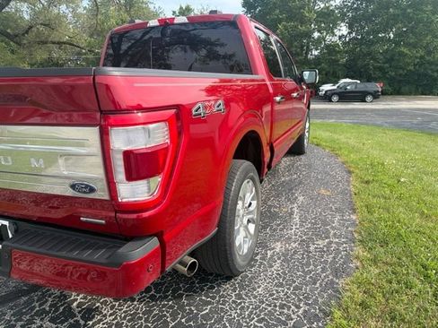Used 2023 Ford F150 Platinum w/ Equipment Group 701A High AWD/4WD image 8