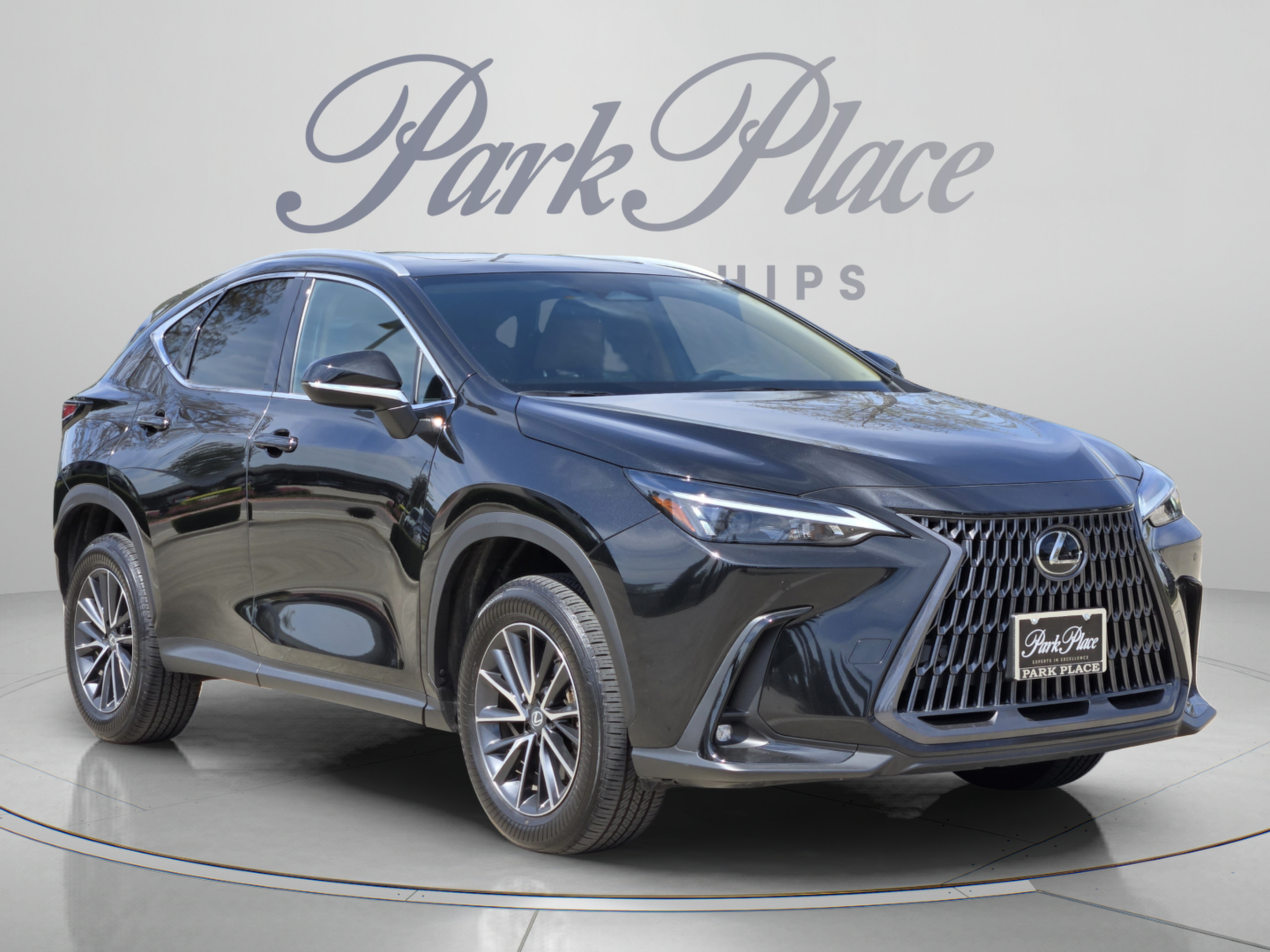 Certified 2026 Lexus NX 350 AWD w/ Cold Area Package image 7