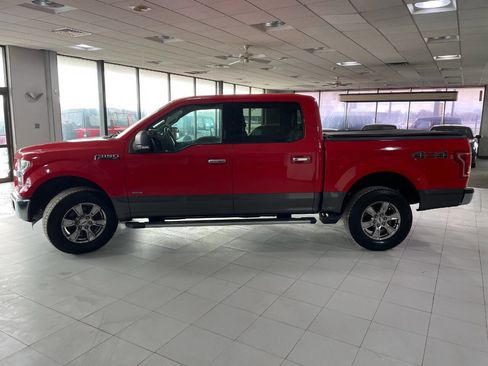 Used 2015 Ford F150 XLT w/ Equipment Group 302A Luxury image 4
