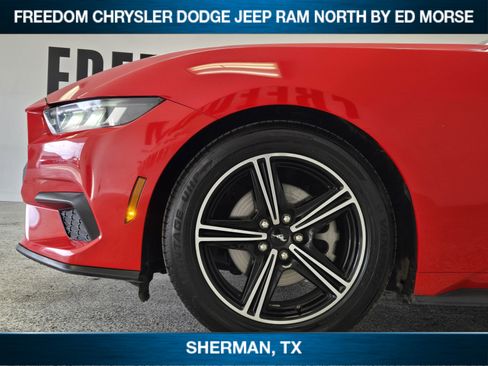 Used 2024 Ford Mustang Premium image 6