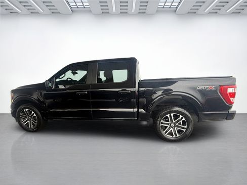 Used 2023 Ford F150 XL w/ STX Appearance Package RWD image 6