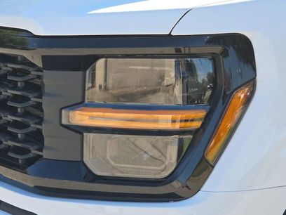 New 2025 Ford F150 STX w/ STX Black Appearance Package