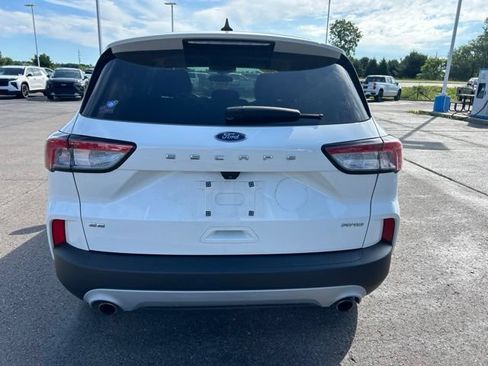 Used 2020 Ford Escape SE AWD/4WD image 6