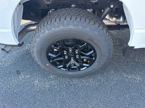New 2025 Ford F150 XLT w/ Equipment Group 302A MID image 13