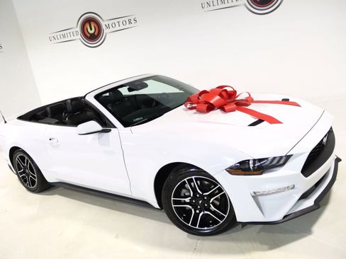 Used 2021 Ford Mustang Premium image 2