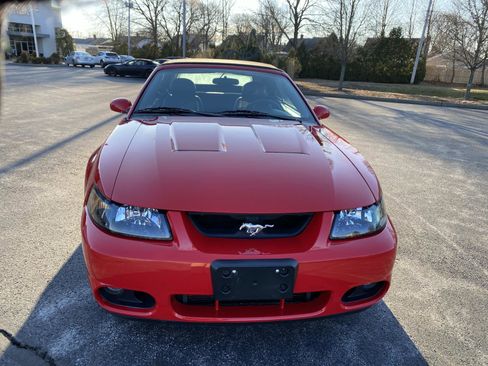 Used 2004 Ford Mustang Cobra image 8