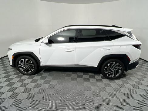 Used 2026 Hyundai Tucson Limited FWD image 6