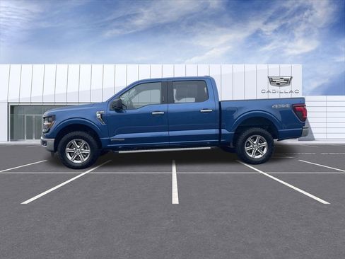 Used 2024 Ford F150 XLT w/ Mobile Office Package image 5