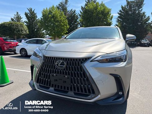Certified 2026 Lexus NX 350 AWD w/ Cold Area Package image 1