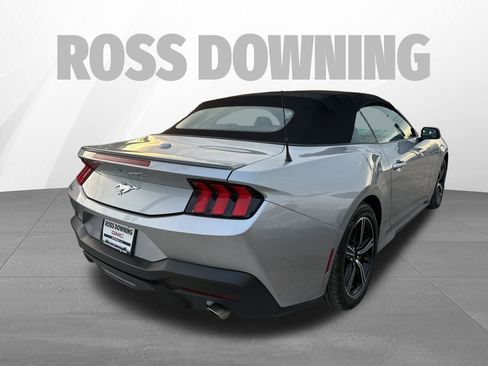Used 2024 Ford Mustang Premium image 4