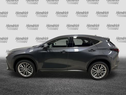 Used 2024 Lexus NX 350 350 Luxury w/ Vision Package image 7