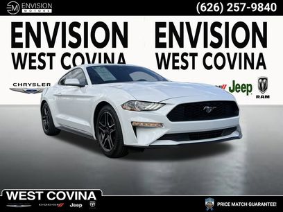 Used 2023 Ford Mustang Coupe w/ Equipment Group 101A