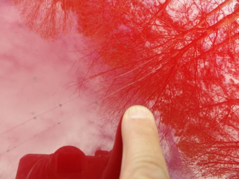 Used 2018 Honda Accord Sport image 22