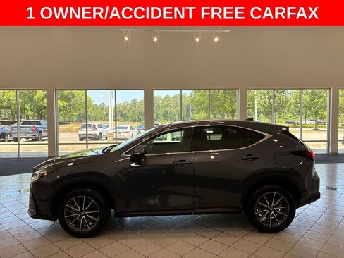 Certified 2025 Lexus NX 250 FWD w/ Cold Area Package image 4