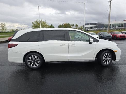 New 2026 Honda Odyssey EX-L image 11