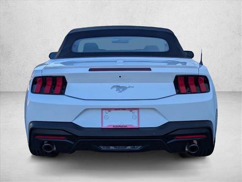 New 2025 Ford Mustang Premium image 7
