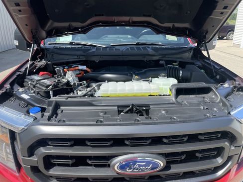 Certified 2021 Ford F150 XLT w/ Equipment Group 302A High AWD/4WD image 20