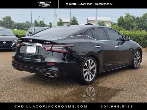Used 2023 Nissan Maxima Platinum w/ Sport Mat Group FWD image 5
