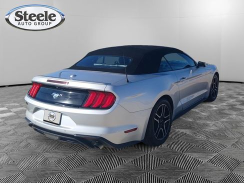 Used 2019 Ford Mustang Premium image 5