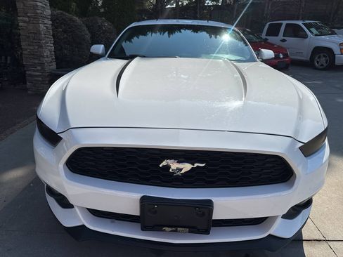 Used 2015 Ford Mustang Premium w/ Equipment Group 201A RWD image 10