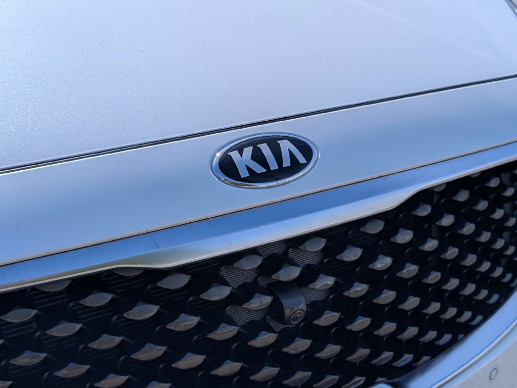 Used 2018 Kia Sedona SX Limited FWD image 4