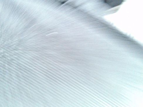 Used 2019 RAM 1500 Big Horn image 18