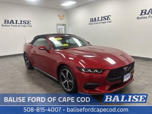 Used 2024 Ford Mustang Premium RWD image 1