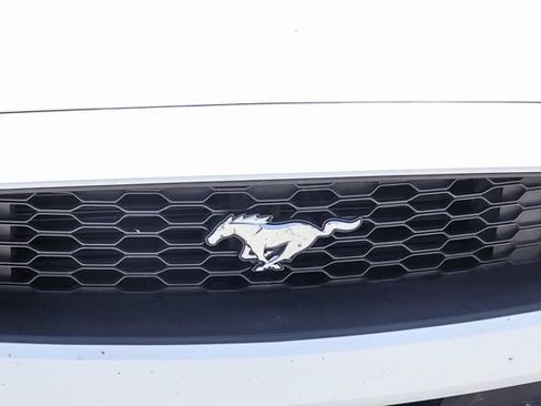Used 2019 Ford Mustang Coupe w/ Wheel & Stripe Package RWD image 13