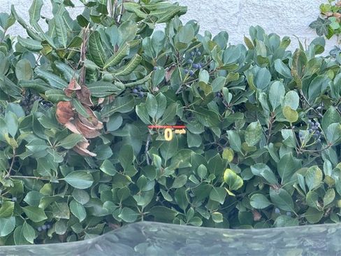 Used 2023 BMW X6 xDrive40i image 25