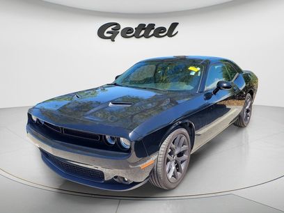 Used 2019 Dodge Challenger SXT w/ Blacktop Package