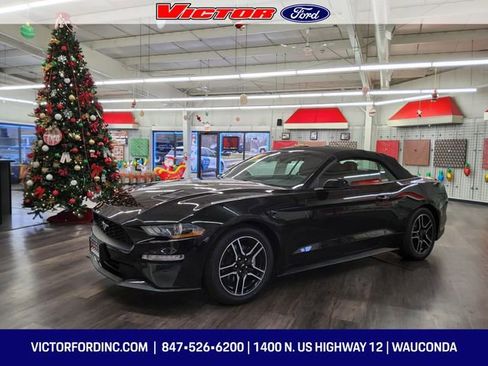 Certified 2020 Ford Mustang Premium image 1