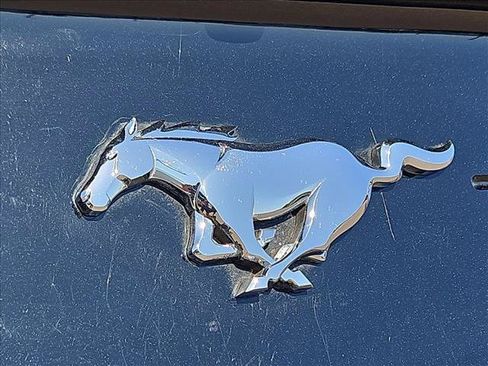 Used 2019 Ford Mustang Premium w/ Ecoboost Performance Package RWD image 30