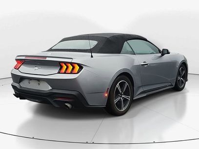 Used 2024 Ford Mustang Premium