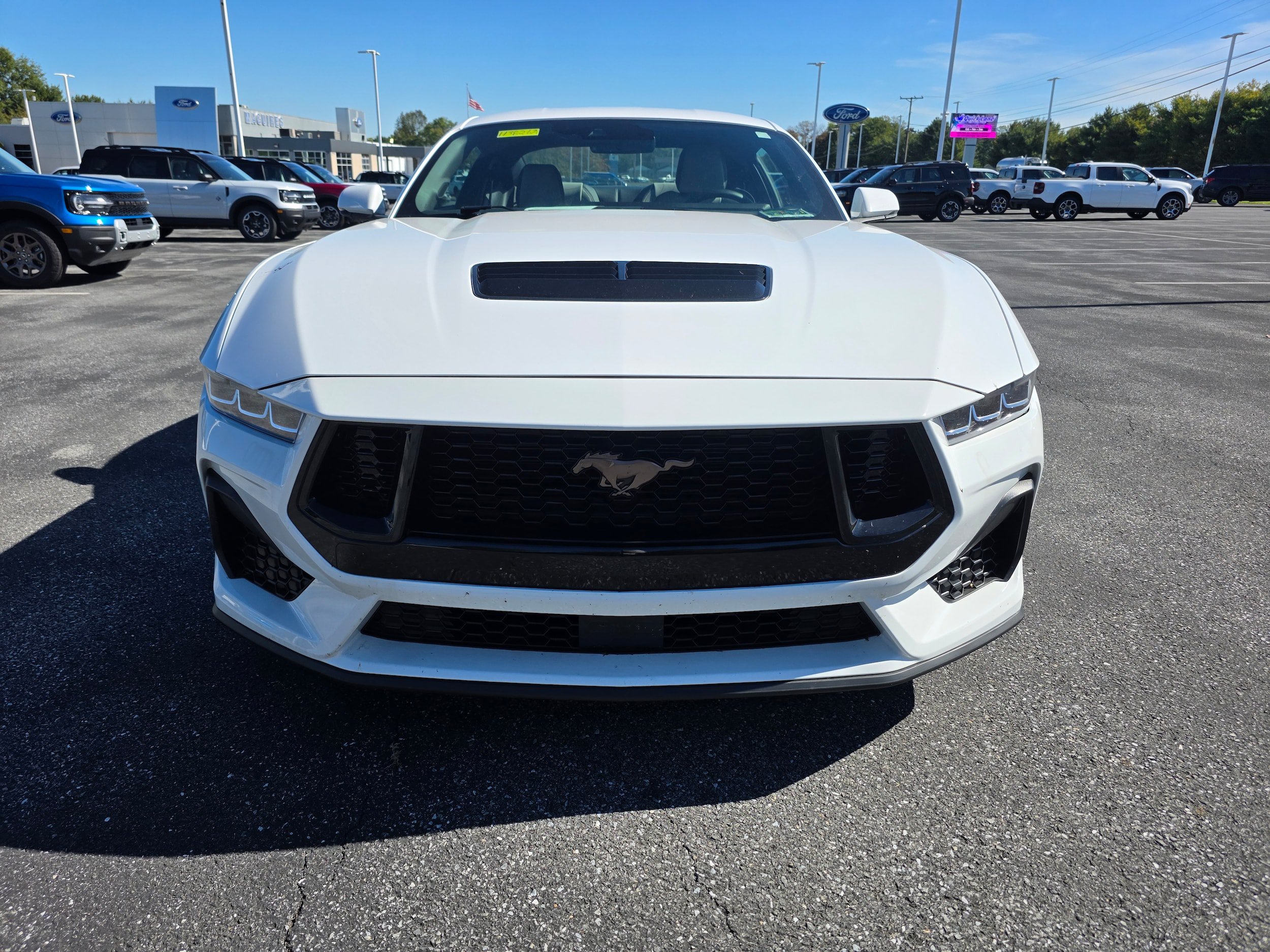 Used 2024 Ford Mustang GT Premium RWD image 8