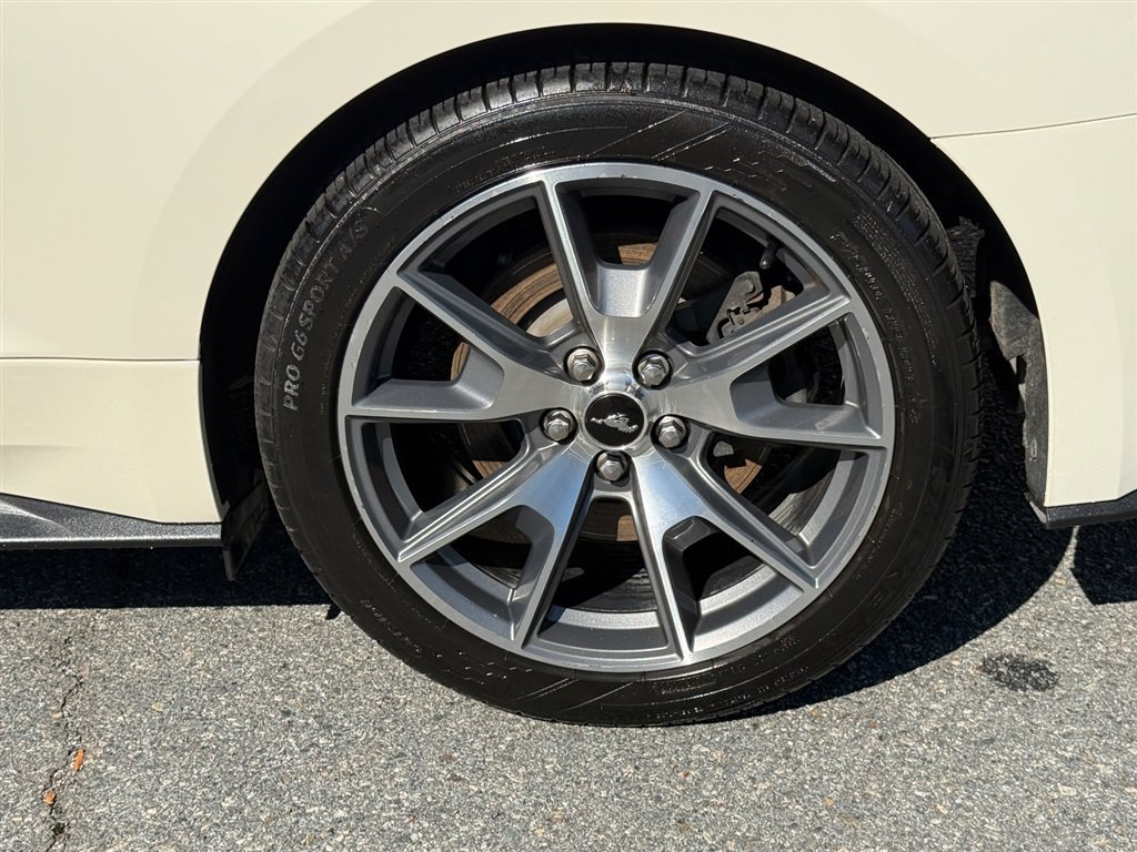 Used 2015 Ford Mustang 50 Years RWD image 18